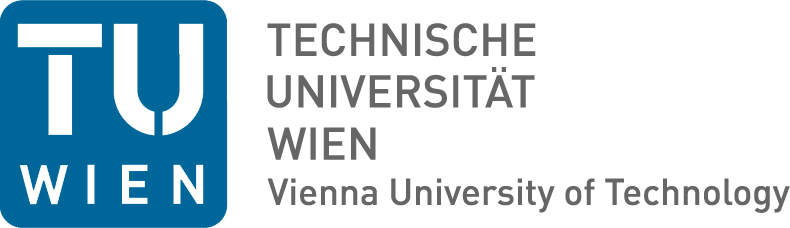 Viena University of Technology: Institute for Analysis
				and Scientific Computing